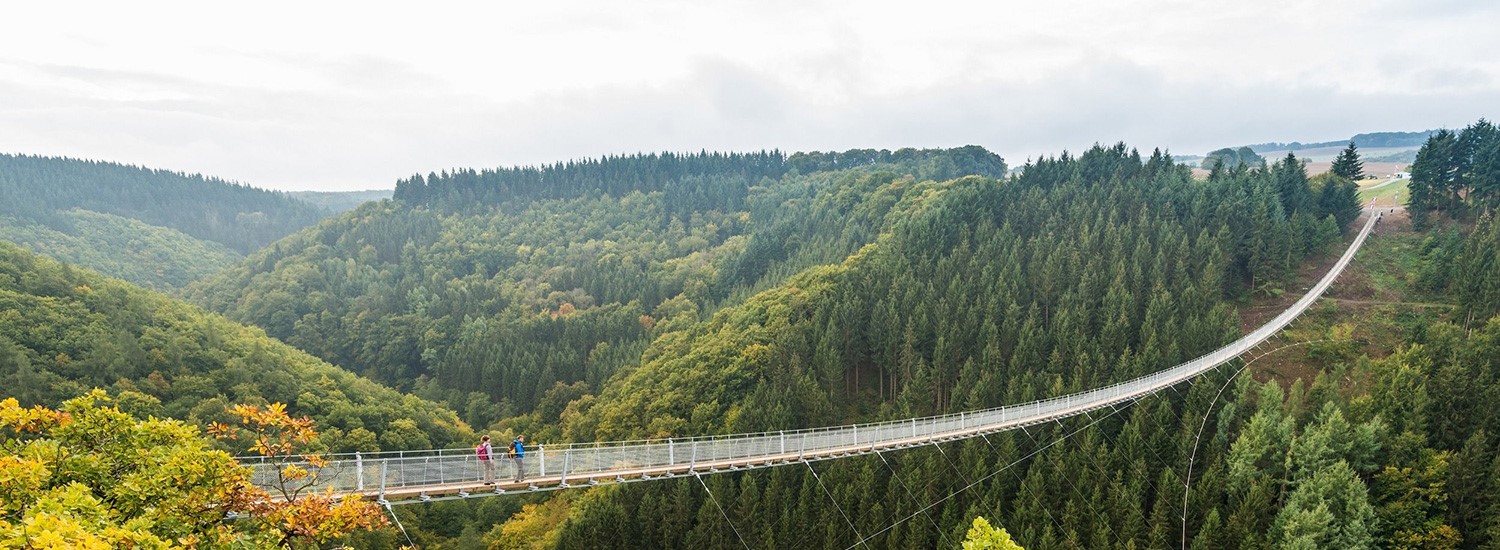 Haengeseilbruecke Geierlay